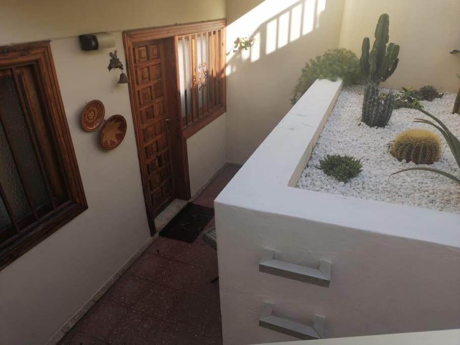 Casa Las Pencas De Margarita ロス・レアレホス エクステリア 写真